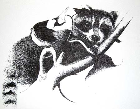 Racoon 2