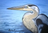 Blue Heron